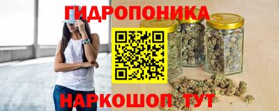гашик Старая Купавна