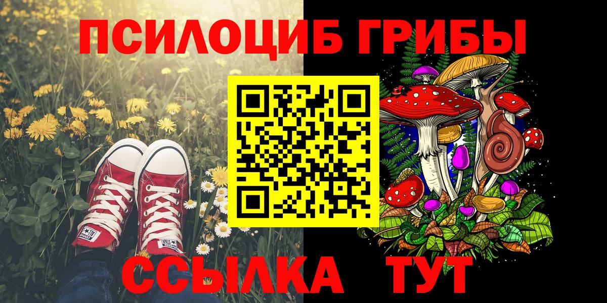 Псилоцибиновые грибы Psilocybine cubensis Гагарин